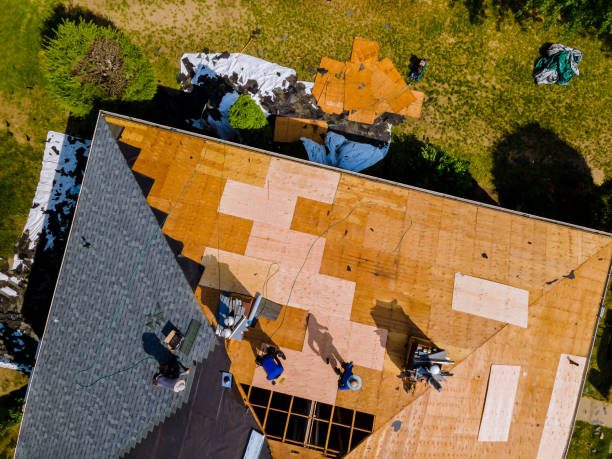 Trusted South Elgin, IL Roofing Contractor Experts