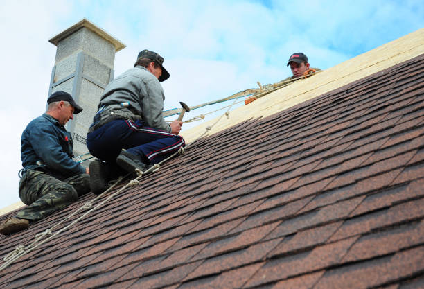 Quick and Trustworthy Emergency Roof Repair Services in South Elgin, IL