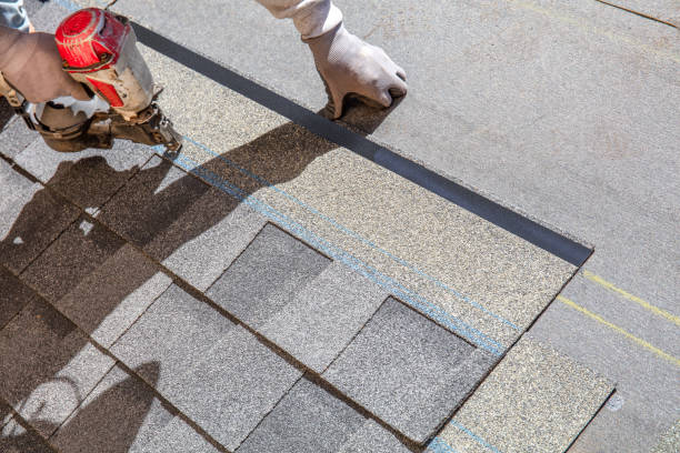Best Roof Gutter Cleaning  in South Elgin, IL